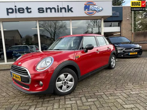 Mini Mini 1.2 One Salt Business