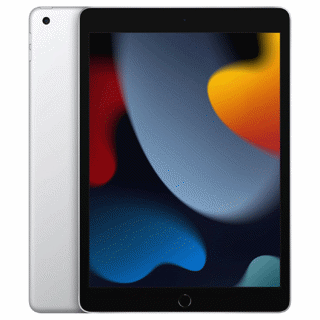 iPad 9 (2021) 256GB Wi-Fi + Cellular (Simlockvrij)