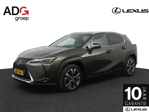 Lexus UX 250h Business Line | Stoelverwarming | Stuurwielverwarming | Apple Carplay | Blind Spot Mon