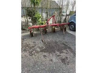 Schijveneg woeler asperges