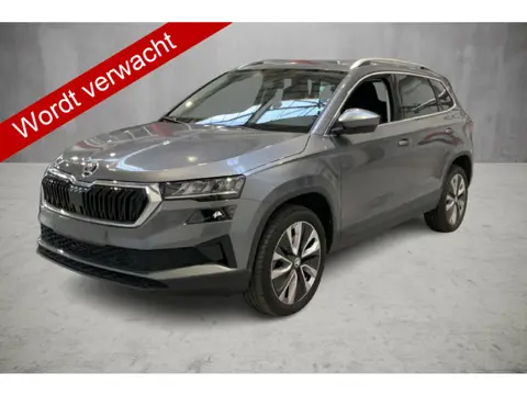 Škoda Karoq 1.5 150 pk TSI DSG Selection Automaat Winter Pakket, Adap. Cruise Control, Climate Contr