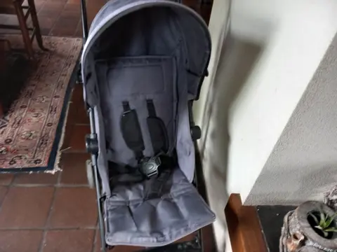 Buggy, - timgro, stevig en degelijk - met kap, deze kan eraf