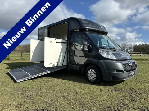 Peugeot Boxer Equi-Trek Sonic 2-paards paardenvrachtwagen B-rijbewijs