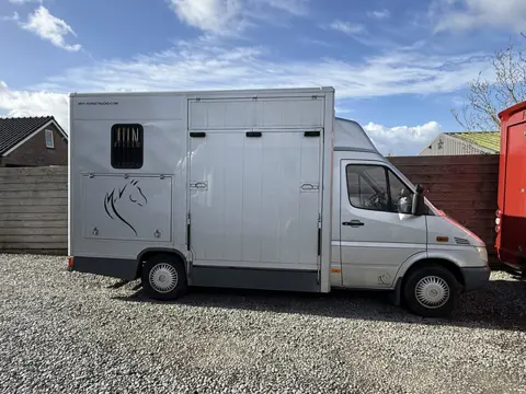 Mercedes-Benz Sprinter PAARDENWAGEN | HORSETRUCK | NUYTS | PRO SAFETY 3XL | 2001 | 128.519KM | AUTOM