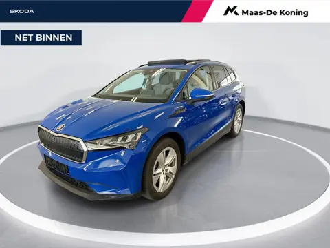 Skoda Enyaq iV 60 180pk Business Edition · Panoramadak · Camera · Keyless · Dodehoek Detectie · Alar