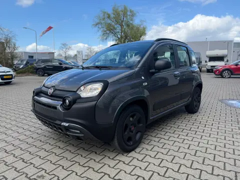 Fiat Panda 1.2 City Cross 4-cilinder (BOVAG/RIJKLAARPRIJS)