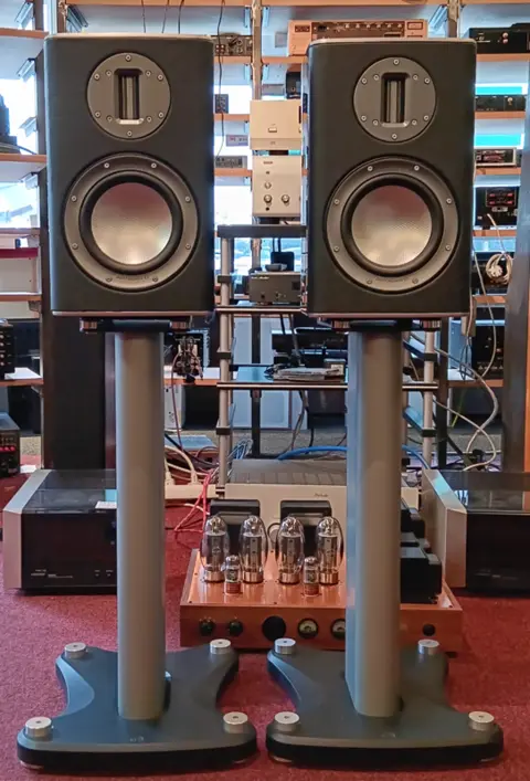 Monitor Audio Platinum PL100