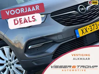Opel Grandland X 1.2 Turbo Business Executive - Moonstone Grey - 19''/Carplay/Electr.klep
