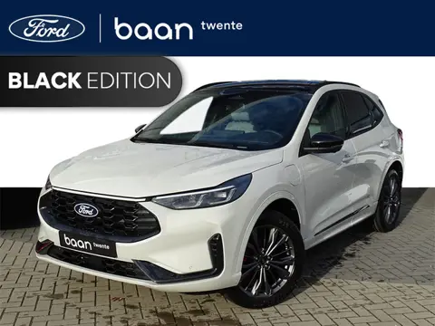 Ford Kuga 2.5 PHEV 243 PK Baan Twente Edition | Gratis Trekhaak | Parelmoer wit | B&O Premium | Matr