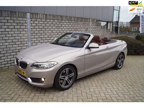 BMW 2-serie Cabrio 220i High Executive Luxury Autom Leder Sportst Stoelverw Navi Clima Xenon Cruise 