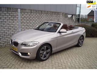 BMW 2-serie Cabrio 220i High Executive Luxury Autom Leder Sportst Stoelverw Navi Clima Xenon Cruise 