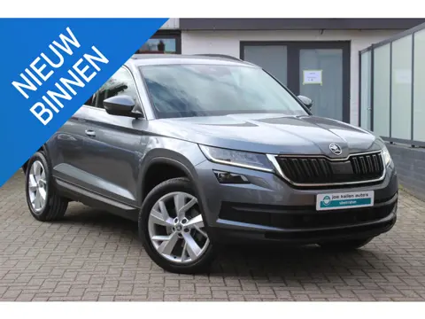 Skoda Kodiaq 1.5 TSI Business Edition Plus Grijs Kenteken, Full Option Caddy