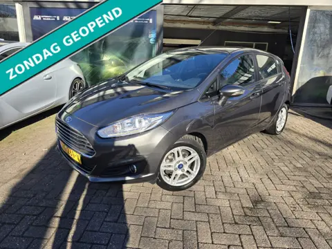 Ford Fiesta 1.0 EcoBoost Titanium | 2E EIGENAAR | 12MND GARANTIE | AIRCO | CRUISE | LMV | NW APK |