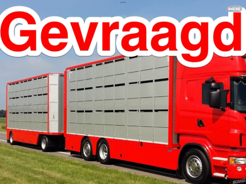 1 of 2 Vouwfietsen Gezocht Gevraagd van Brompton Riese Birdy Müller