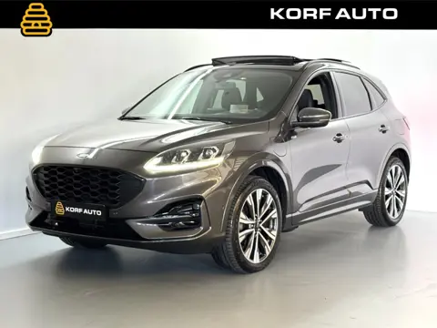 Ford Kuga 2.5 PHEV ST-Line X / Pano / B&O / HUD / Camera / Memory