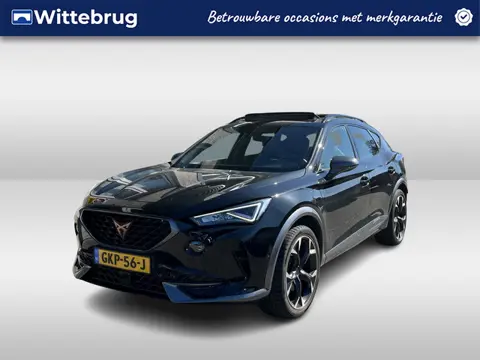 CUPRA Formentor 1.4 e-Hybrid Performance / AUTOMAAT/ PANO/ LEER/ 245 PK/ STUUR+STOELVERWARM. / PARK.