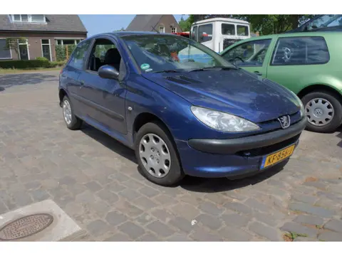 Peugeot 206 1.4 One-line apk 19-5-2023 airco opknapper staat al lang stil