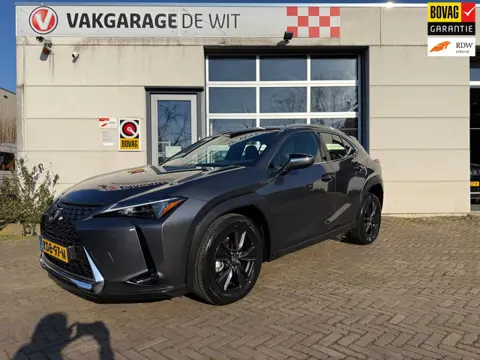 Lexus UX 250h Urban Line