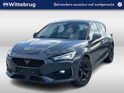 CUPRA Leon 1.4 e-Hybrid 245PK Performance DSG Automaat Navigatie / LM 19 inch / Verwarmb voorstoelen