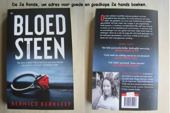 154 - Bloedsteen - Bernice Berkleef