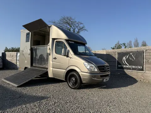 Mercedes-Benz Sprinter PAARDENWAGEN | HORSETRUCK | RC | CLASSIC 3XL | 2009 | 3-SEAT | MANUEEL | VEEL