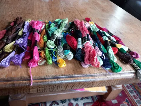 Dmc, borduurgaren - splitgaren 6 draads