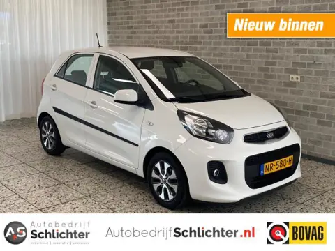 KIA PICANTO 1.0 ECoPlusLine  Navi/Airco/Camera/LM-Velgen