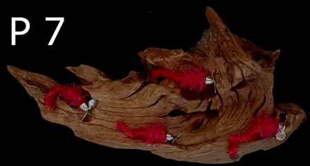 2 sets van elk 4 stuks Forel-Ruisvoorn-Baars Propellerwormen