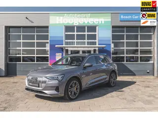 Audi E-tron E-tron 55 quattro advanced Pro Line Plus 95 kWh