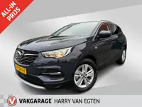Opel Grandland X 1.2 Turbo Business Executive | Navi | ECC | Cruise | Trekhaak | El. klep | AGR |