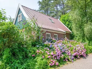 Gezellig vrijstaand vakantiehuis aan de bosrand