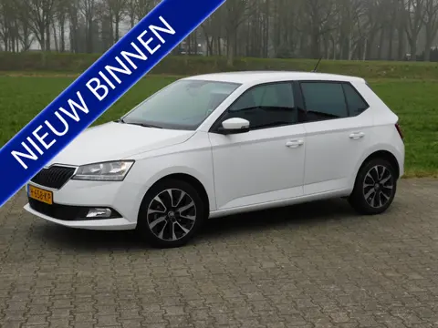 Škoda Fabia 1.0 TSI Business Edition, Carplay, Pdc, Trekhaak