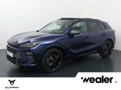 CUPRA Terramar 1.5 TSI e-Hybrid Business Panorama schuifkanteldak, Moon light dinamica interieur, 20