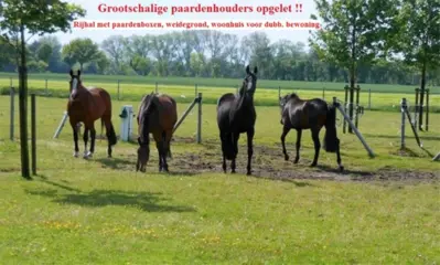Rijhal, paardenboxen, weidegrond, nabij NL-grens