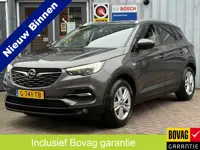 Opel Grandland X 1.2 Turbo Business Executive | AUTOMAAT | TREKHAAK | STOEL/STUUR VERW. | NAVI |