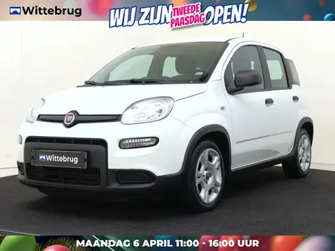 Fiat Panda 1.0 Hybrid | Airconditioning | (bj 2023)