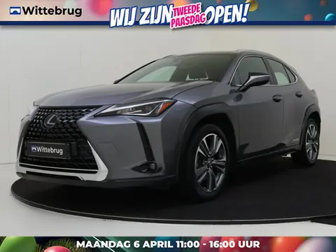 Lexus UX 250h Business Line NOW OR NEVER DEAL!!!!!