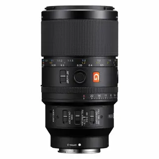 Sony FE 100mm F/2.8 Macro GM OSS