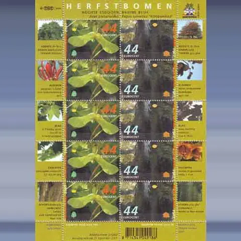 Herfstbomen (21-9-2007)