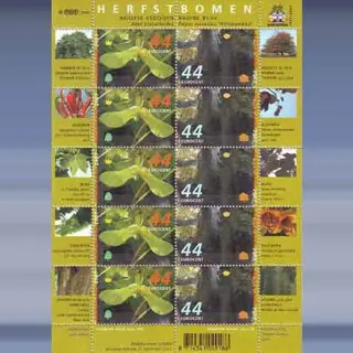 Herfstbomen (21-9-2007)