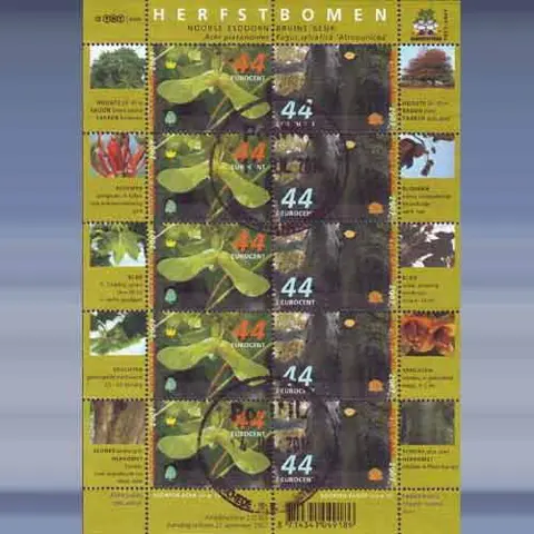 Herfstbomen (21-9-2007)