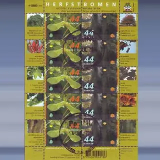 Herfstbomen (21-9-2007)