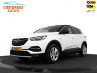 Opel Grandland X 1.2 T. 130 pk Automaat Business Elegance Camera/AGR stoelen/ Riem vervangen