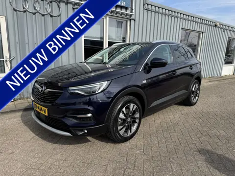 Opel Grandland X 1.2 Turbo Business Executive (bj 2019)