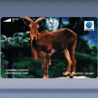 Kambing Gunung - Mouflon (1993)