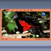 Psittrichas Fulgidus (1994)