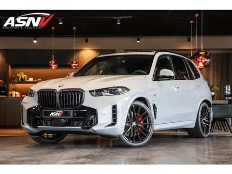 BMW X5 XDrive 50e High Executive, 490 PK, M/Sports/Pakket/Pro, Brooklyn, Driving Assistant/Plus, Pan