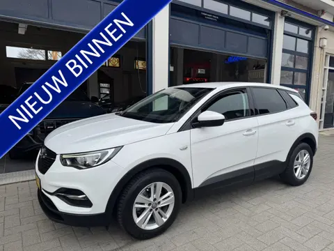Opel Grandland X 1.2 Turbo Business + NL AUTO/TOPSTAAT
