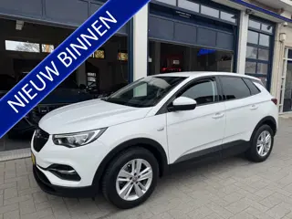 Opel Grandland X 1.2 Turbo Business + NL AUTO/TOPSTAAT