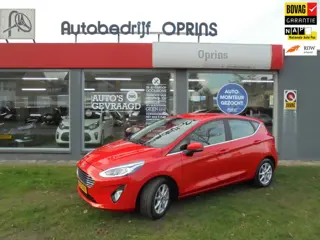 Ford Fiesta 1.0 EcoBoost Titanium 5d, Incl. Bovag Garantie, Cruise Control, Apple Carplay/ Android A